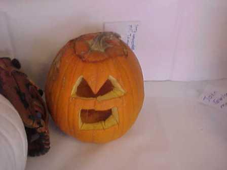 pumpkins (3).JPG