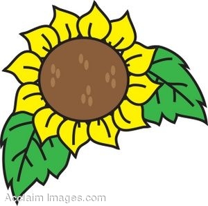 country-sunflower-clip-art-529188.jpg