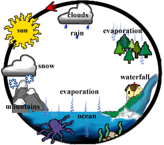 Water Cycle Picture.gif
