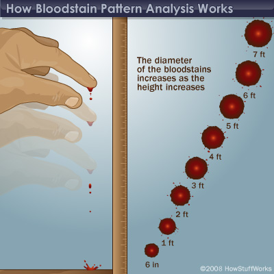 Scientific and Legal Applications of Bloodstain Pattern