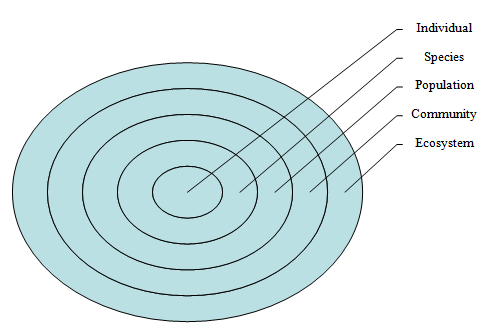 l2-02levelscircles.PNG