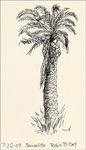 pa-palmtree.jpg