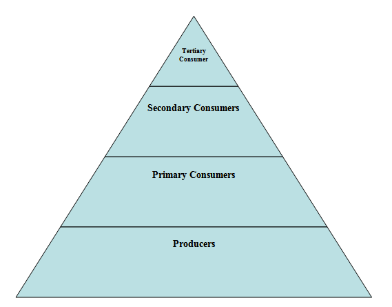 l01-pyramid.PNG
